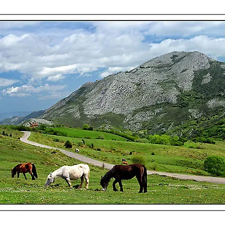 El Ablanu Senda Del Oso 公寓