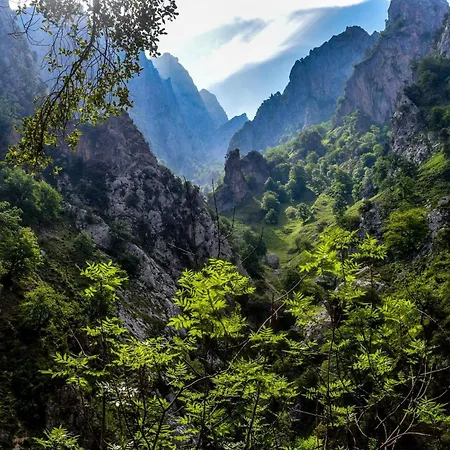 El Ablanu Senda Del Oso Apartament Proaza